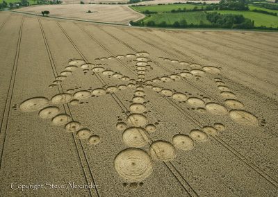 Wappenbury near Royal Leamington Spa, Warwickshire | 15th August 2012 | Wheat L3