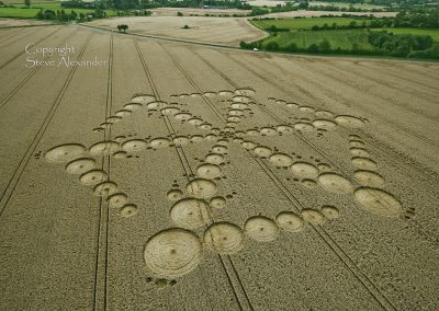 Wappenbury near Royal Leamington Spa, Warwickshire | 15th August 2012 | Wheat L2