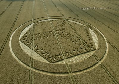 Hackpen Hill, Wiltshire | 26th August 2012 | Wheat L5