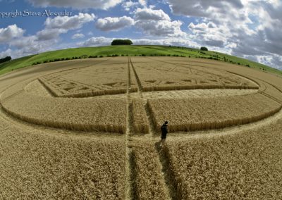 Hackpen Hill, Wiltshire | 26th August 2012 | Wheat P