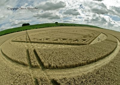 Hackpen Hill, Wiltshire | 26th August 2012 | Wheat P8