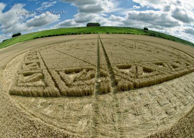 Hackpen Hill, Wiltshire | 26th August 2012 | Wheat P3