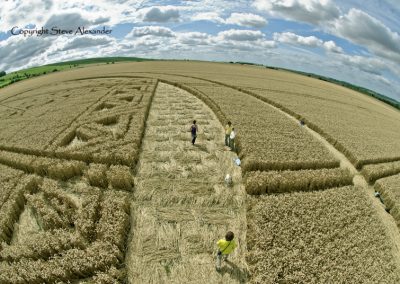 Hackpen Hill, Wiltshire | 26th August 2012 | Wheat P5
