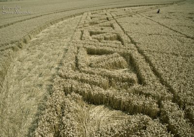 Hackpen Hill, Wiltshire | 26th August 2012 | Wheat P9