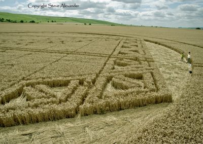 Hackpen Hill, Wiltshire | 26th August 2012 | Wheat P6