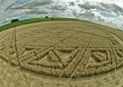 Hackpen Hill, Wiltshire | 26th August 2012 | Wheat P7