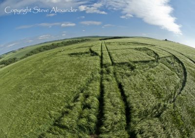 Silbury Hill, Wiltshire | 25th June 2013 | Barley P3