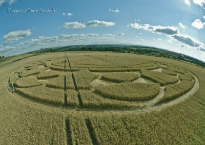Monument Hill Etchilhampton, Wiltshire | 6th August 2013 | Wheat P