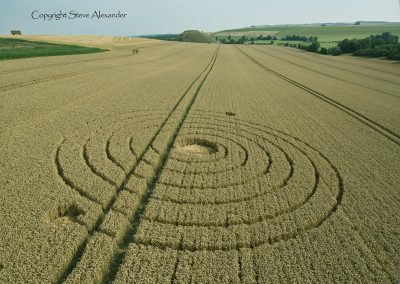 Penning nr Silbury Hill, Wiltshire | 8th August 2013 | Wheat L