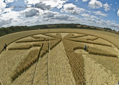 Chute Causeway nr Tidcombe, Wiltshire | 10th August 2013 | Wheat P3