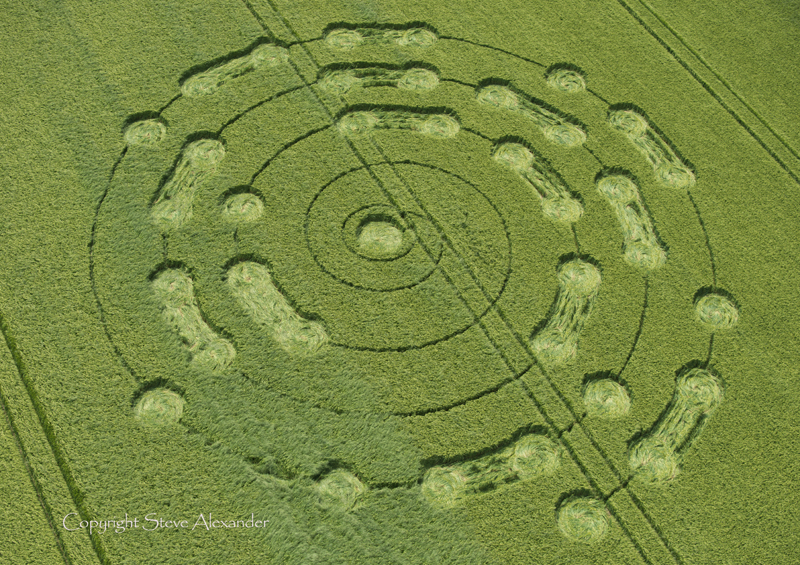 Chilcomb Down, Hampshire | 6th June 2014