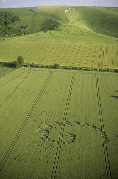 Uffington, Oxfordshire | 23rd June 2002 | Wheat L 35mm