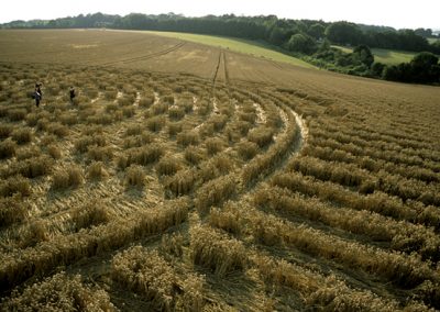 Sparsholt Nr Winchester, Hampshire | 15th August 2002 | Wheat P2 35mm