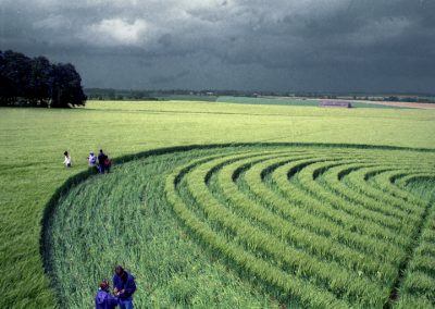 Beckhampton, Wiltshire | 29th May 1995 | Barley | P3 35mm Neg Scan