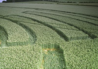 Cowdown, nr Andover, Hampshire | 18th June 1995 | Wheat | P2 35mm Neg Scan