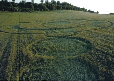 Danebury Hillfort, Hampshire | 16th June 1995 | Barley | P 35mm Neg Scan