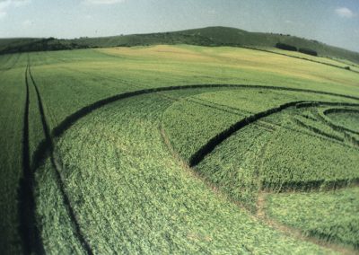 East Field, Alton Barnes, Wiltshire | 19th July 1994 | Wheat P3 35mm Neg Scan