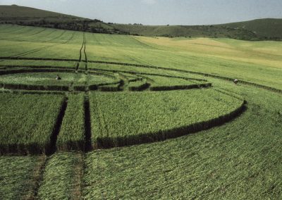 East Field, Alton Barnes, Wiltshire | 19th July 1994 | Wheat P4 35mm Neg Scan