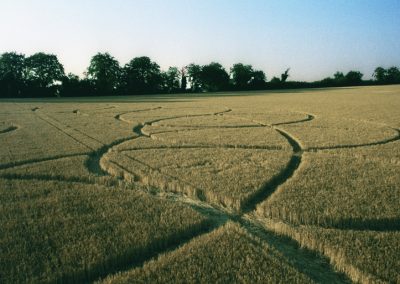 Goodworth Clatford, Hampshire | 22nd July 1995 | Barley | P2 35mm Neg Scan
