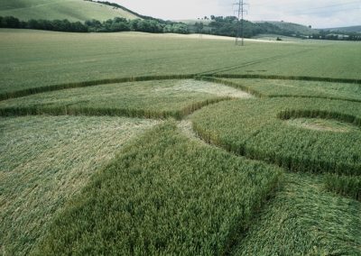 Kingsclere, Hampshire | 15th July 1995 | Wheat | P3 35mm Neg Scan