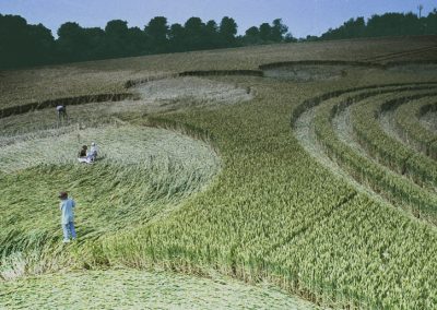 Litchfield, Hampshire | 6th July 1995 | Wheat | P2 35mm Neg Scan