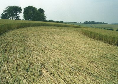 Wilsford, Wiltshire | 15th July 1994 | Wheat P2 35mm Neg Scan