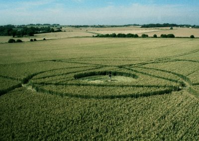 Winterbourne Bassett, Wiltshire | 23rd July | 1995  Wheat | P 35mm Neg Scan