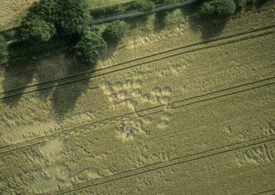 Cherhill, Wiltshire | 18th July 1998 | Wheat 35mm