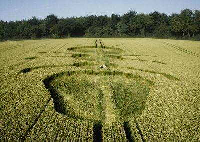 Henwood, Hampshire | 14th July 1997 | Wheat P3 35mm