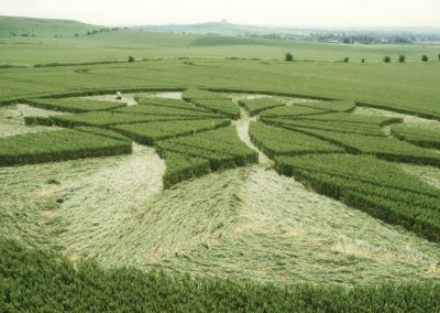 Milk Hill, Wiltshire 1st July 2000 | Wheat P3 35mm