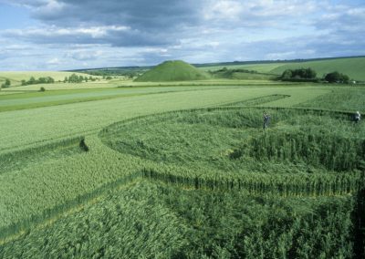 Silbury Hill, Wiltshire | 19th June 1999 | Wheat P3 35mm