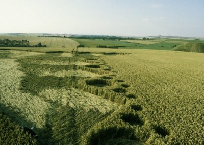 Silbury Hill, Wiltshire | 24th July 1999 | Wheat P 35mm