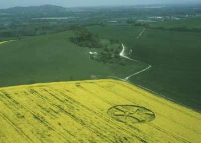 Woodborough Hill, Wiltshire | 30th April 1999 | Oilseed Rape L 35mm