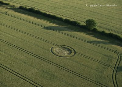 Rollright Stones, Oxfordshire | 15th July 2015 | Wheat SC