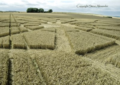 Ox Drove, nr Bowerchalke, Wiltshire | 8th August 2015 | Wheat LOW