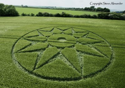 Willoughby Hedge, nr Mere, Wilts | 5th June 2016 | Barley Low3