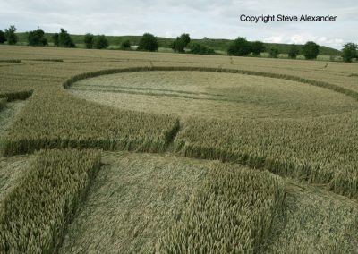 Figsbury Ring, Wilts | 22nd July 2016 | Wheat Low9