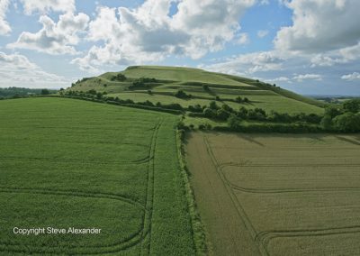 Cley Hill, nr Warminster, Wilts | July 2016