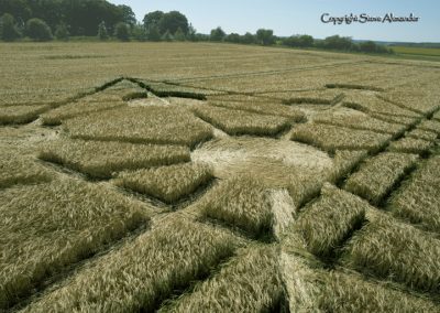 Target Wood, Badbury Rings, Dorset |16th June 2017| Barley | LOW2