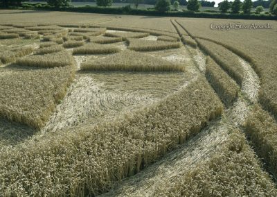 Bydemill Copse, Cannington, Wilts | 4th Aug 2017 | Wheat | Low