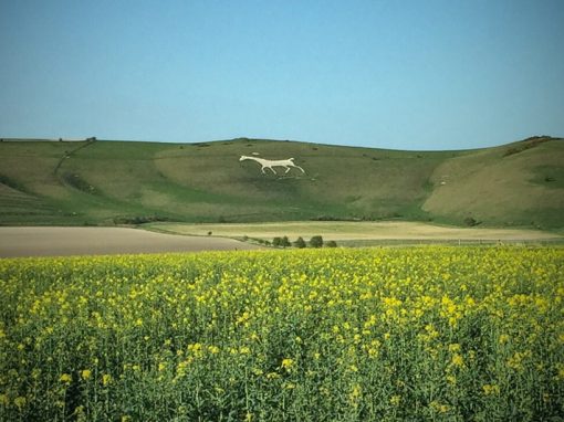 Crop Circles 2019 | Early Season Info