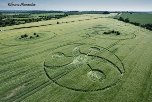 Keysley Down, nr Chicklade, Wilts | 10th June 2018 | Barley L