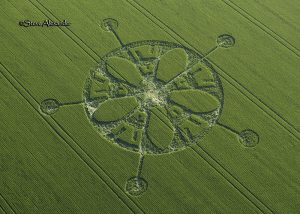 Winterbourne Stoke Down, Wilts | 17th June 2018 | Barley OH2