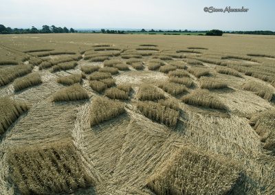 Muncombe Hill, Somerset | 14th July 2018| Wheat  Low4