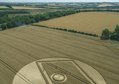 Gurston Ashes, nr Fovant, Wilts | 24th July 2018 | Wheat L