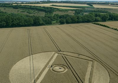 Gurston Ashes, nr Fovant, Wilts | 24th July 2018 | Wheat LL