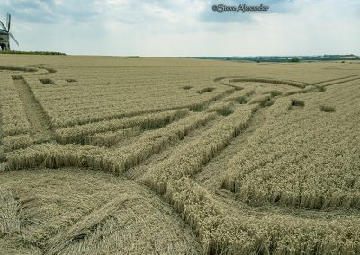 Chesterton Windmill, Warks | 26th July 2018 | Wheat  Low5
