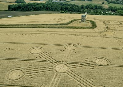 Chesterton Windmill, Warks | 26th July 2018 | Wheat  L