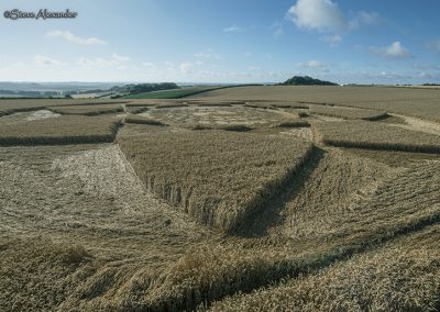 Hackpen Hill (3), Wilts | 30th July 2018 | Wheat Low2