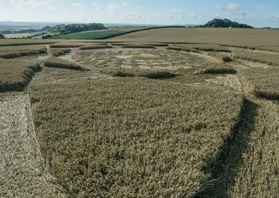 Hackpen Hill (3), Wilts | 30th July 2018 | Wheat Low3